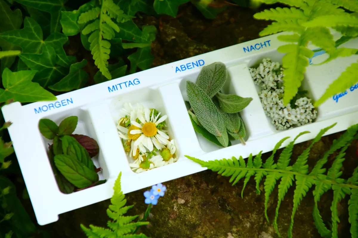 Weiteres Praxisfoto von Doreen Platz, Heilpraktikerin. Homöopathie - Shiatsu & Massage – Naturheilverfahren, Naturheilpraxis für Kinder & Erwachsene.
