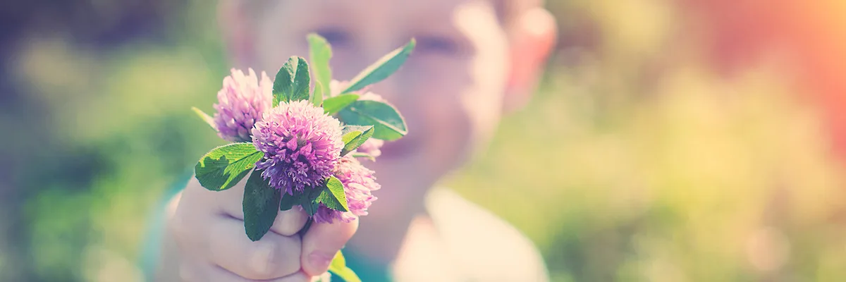 Weiteres Praxisfoto von Frauengesundheit und Kinderwunsch - Heilpraktikerin Dipl.-Psych. Iris Lemke