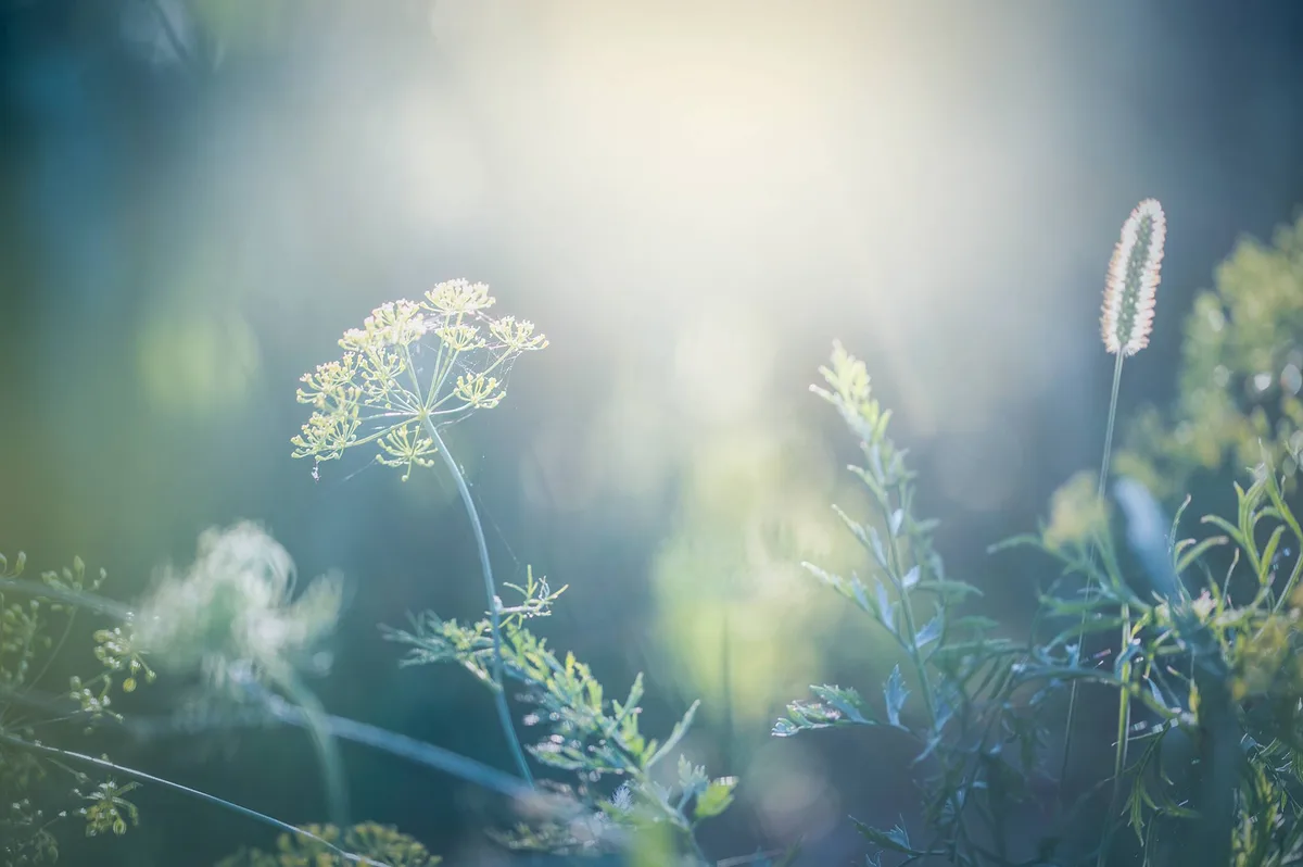 Praxisfoto von Heilpraktikerin für Psychotherapie - Kerstin Klein