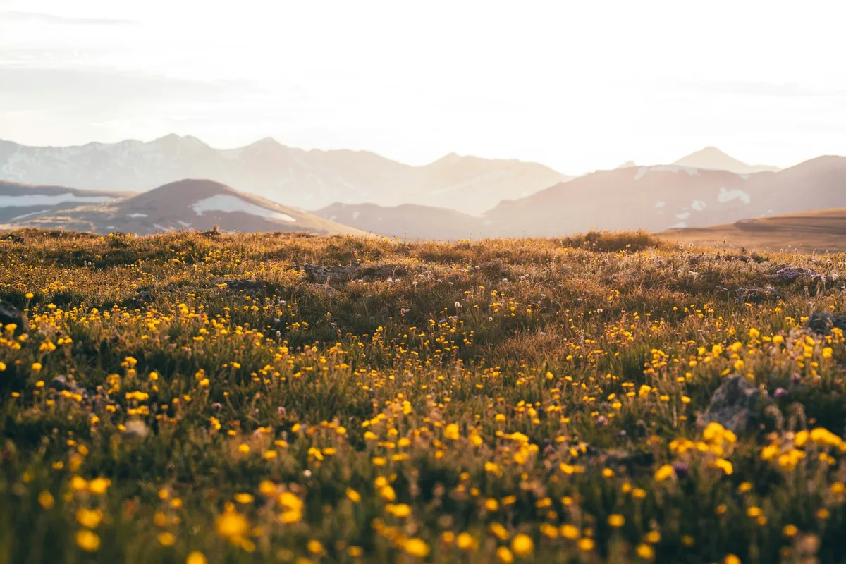 Praxisfoto von Marcel Hermkes - Psychotherapeutische Praxis für Gestalttherapie & Coaching | Heilpraktiker für Psychotherapie