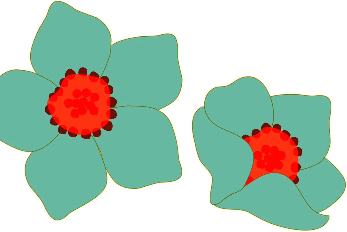 Weiteres Praxisfoto von Naturheilpraxis Köberle
