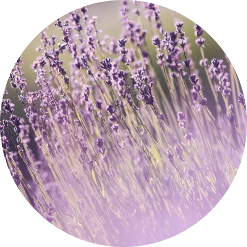 Weiteres Praxisfoto von Steffi Krause, Heilpraktikerin für Psychotherapie, Praxis für Hypnose & Yager-Code Berlin